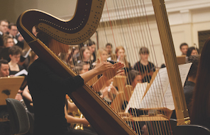 Zdjęcie przedstawia widok orkiestry przez struny harfy