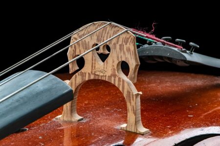 Zdjęcie przedstawia mostek instrumentu smyczkowego - wiolonczeli lub kontrabasu