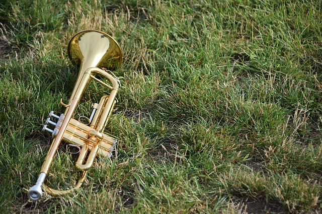 Zdjęcie przedstawia trąbkę leżącą na trawie i może zachęcać do przyjścia na koncert klasy instrumentów dętych blaszanych