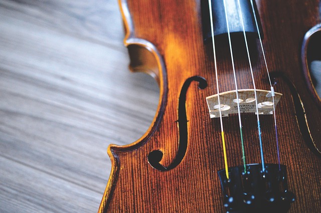 Zdjęcie przedstawia skrzypce i może zachęcać do przyjścia na koncert w ramach cyklu Violamaxx